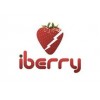 iberry by Maxbhi.com