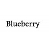 BlueBerry by Maxbhi.com