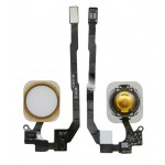 Flex Cable For Apple Iphone 5s - Maxbhi Com