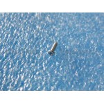 Screw For Sony Xperia Z1 Compact D5503