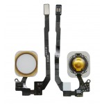Home Button Complete For Apple Iphone 5s Gold By - Maxbhi Com