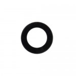 Camera Lens For Huawei P10 Lite Black By - Maxbhi Com