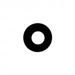 Camera Lens For Vivo X6 Black By - Maxbhi Com