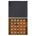 Camera IC for Apple iPhone 12