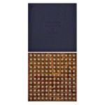 Big Audio IC for Apple iPhone 11 Pro