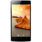 LCD Screen for Wammy Passion Z