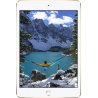 Apple iPad Mini 4 WiFi 128GB Spare Parts & Accessories