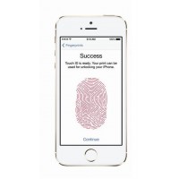 Apple iPhone 5se Spare Parts & Accessories by Maxbhi.com