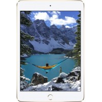 Apple iPad Mini 4 WiFi 32GB Spare Parts & Accessories by Maxbhi.com