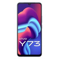 Vivo Y73 Spare Parts & Accessories by Maxbhi.com