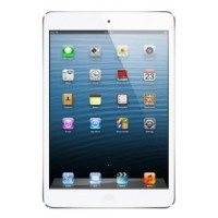 Apple iPad mini 128GB WiFi Spare Parts & Accessories