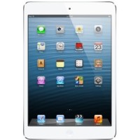 Apple iPad mini 64GB WiFi Spare Parts & Accessories