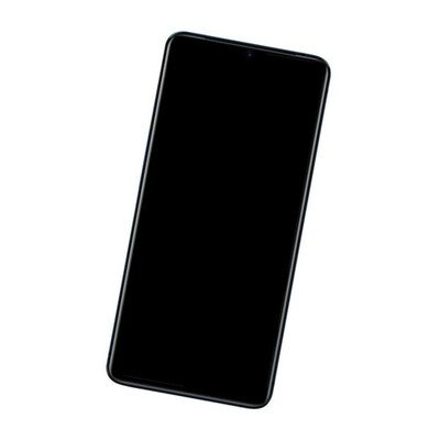 Camera Lens Glass with Frame for Oppo Reno Ace Blue