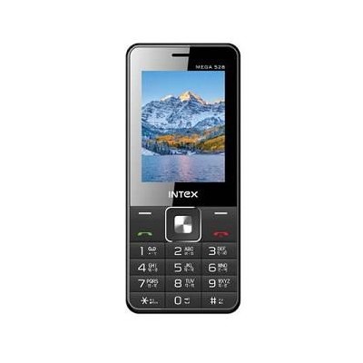 LCD Screen for Intex Mega 528