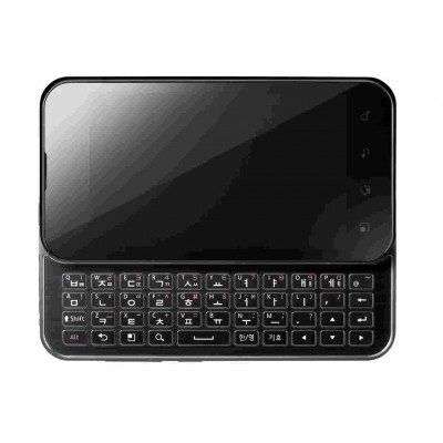 LCD with Touch Screen for LG Optimus Q2 LU6500 - Black