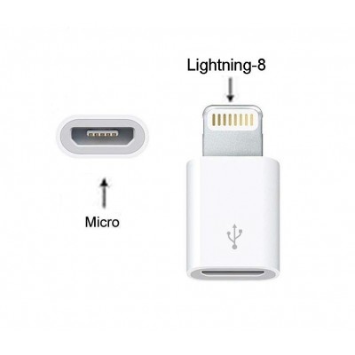 Micro Usb To 8 Pin Lightning Converter For Apple Ipad 4 - Maxbhi Com