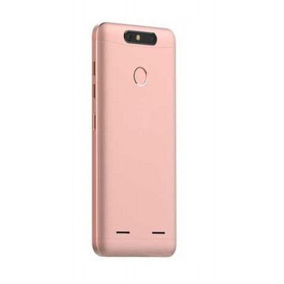 Back Panel Cover For Zte Blade V8 Mini Rose Gold - Maxbhi.com
