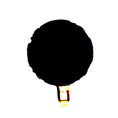 Home Button For Samsung X830 Orange - Maxbhi Com