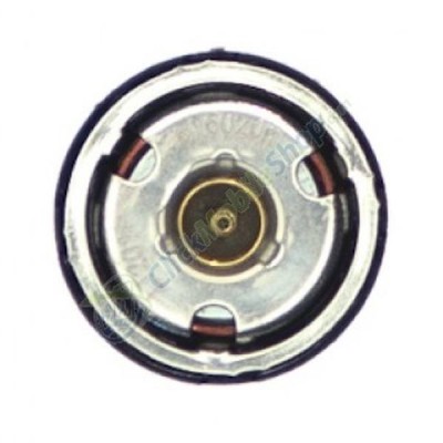 Loud Speaker For Nokia 6310