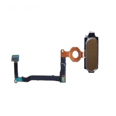 Home Button Complete For Samsung Galaxy Note5 Duos Gold By - Maxbhi Com