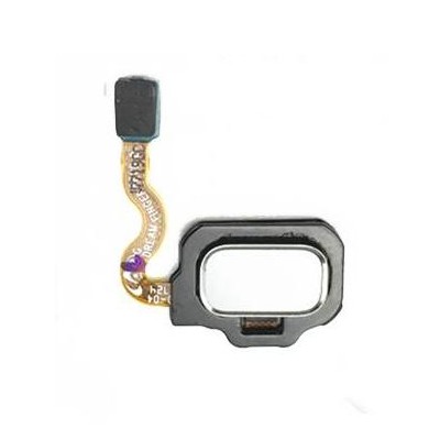 Fingerprint Sensor Flex Cable For Samsung Galaxy S8 Plus 128gb Silver By - Maxbhi Com