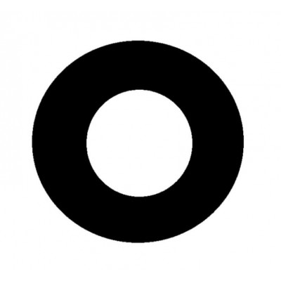 Camera Lens For Vivo Y55s Black By - Maxbhi Com