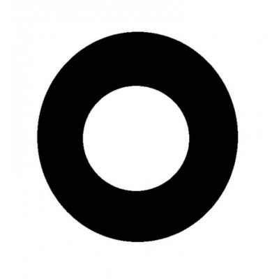 Camera Lens For Vivo Y55s Black By - Maxbhi Com