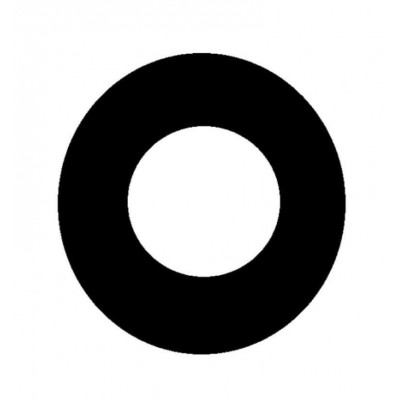 Camera Lens For Vivo Y55s Black By - Maxbhi Com