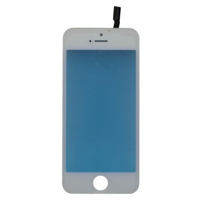 Touch Screen Digitizer For Apple Iphone 5s Silver By - Maxbhi Com