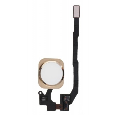 Home Button Complete For Apple Iphone 5se Gold By - Maxbhi Com