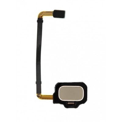 Fingerprint Sensor Flex Cable For Samsung Galaxy S8 Active White By - Maxbhi Com