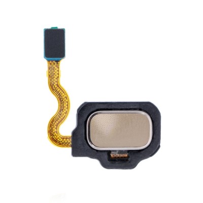 Fingerprint Sensor Flex Cable For Samsung Galaxy S8 Plus Gold By - Maxbhi Com