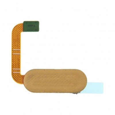 Fingerprint Sensor Flex Cable For Htc One M9 Plus Prime Camera Edition Silver Gold By - Maxbhi Com