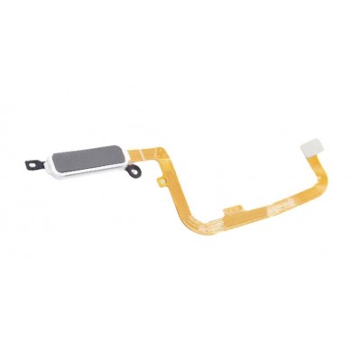 Fingerprint Sensor Flex Cable For Doogee V20 White By - Maxbhi Com