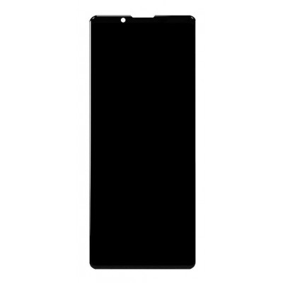 Lcd Screen For Sony Xperia Pro 5g Replacement Display By - Maxbhi Com