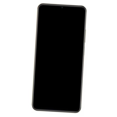 Middle Frame Ring Only for Realme C53 India Gold