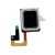 Ear Speaker Flex Cable For Motorola Moto X40 By - Maxbhi Com
