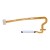 Fingerprint Sensor Flex Cable For Oppo A60 White By - Maxbhi Com