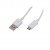 Data Cable For Iball Slide Wq32 Microusb - Maxbhi Com