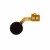 Vibrator For Htc One E9s - Maxbhi Com