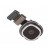 Camera For Celkon A10 - Maxbhi Com