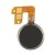 Vibrator For Karbonn Titanium S4 Plus - Maxbhi Com