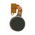Vibrator For Ngm Forward Endurance By - Maxbhi Com