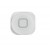 Home Button Outer For Apple Ipod Touch 64gb 5th Generation White By - Maxbhi Com