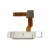 Home Button Complete For Huawei Mediapad M3 64gb Lte Gold By - Maxbhi Com