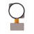 Fingerprint Sensor Flex Cable For Xiaomi Redmi Note 7 Pro White By - Maxbhi Com