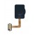 Fingerprint Sensor Flex Cable For Lg Q7 Blue By - Maxbhi Com