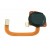 Fingerprint Sensor Flex Cable For Motorola Moto E 2020 White By - Maxbhi Com