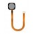 Fingerprint Sensor Flex Cable For Tecno Mobile Camon Cx Black By - Maxbhi Com