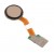 Fingerprint Sensor Flex Cable For Lg K11 Plus Gold By - Maxbhi Com